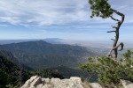 IMG_0881