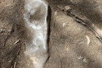 IMG_0906