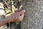 IMG_0939