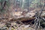 20171203_132846