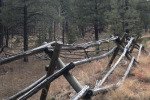 trail-canyon-12317_37947679405_o