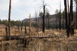 trail-canyon-12317_38118463544_o