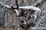 trail-canyon-12317_38118466134_o