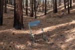 trail-canyon-12317_38118468054_o