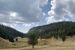 IMG_2570