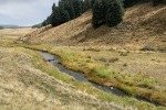 IMG_2577