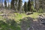 img_7516_52927872993_o