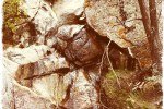 Rock Patterns