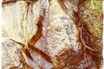 Water Patterns on Rock