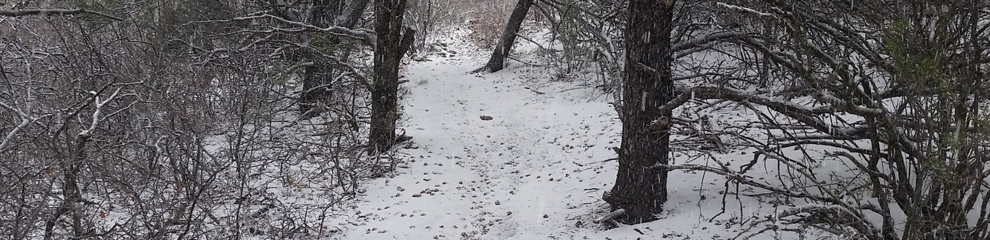 Palomas Peak Hike – 05/01/2016 - Hiking in New Mexico