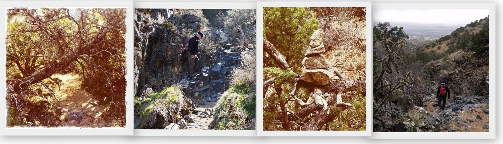 No Name Hike – 02/12/2017 - Hiking in New Mexico
