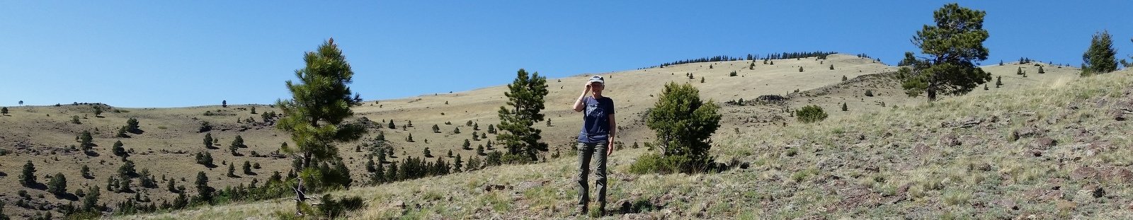 Gooseberry Springs Trail Hike – 06/01/2018 - Hiking in New Mexico