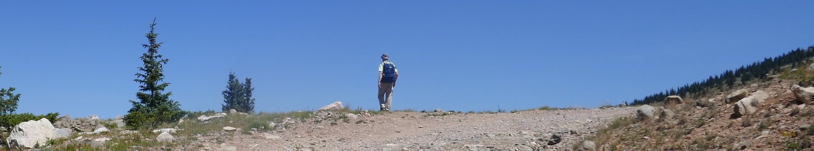 Aspen Vista Hike