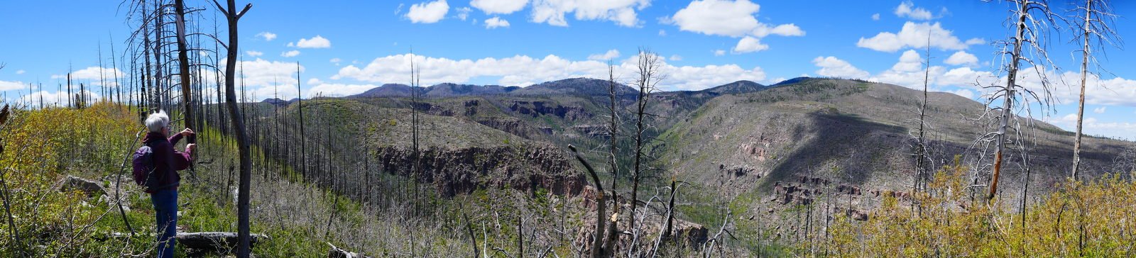 Alamo Spring Trail Hike – 05/28/2019 - Hiking in New Mexico