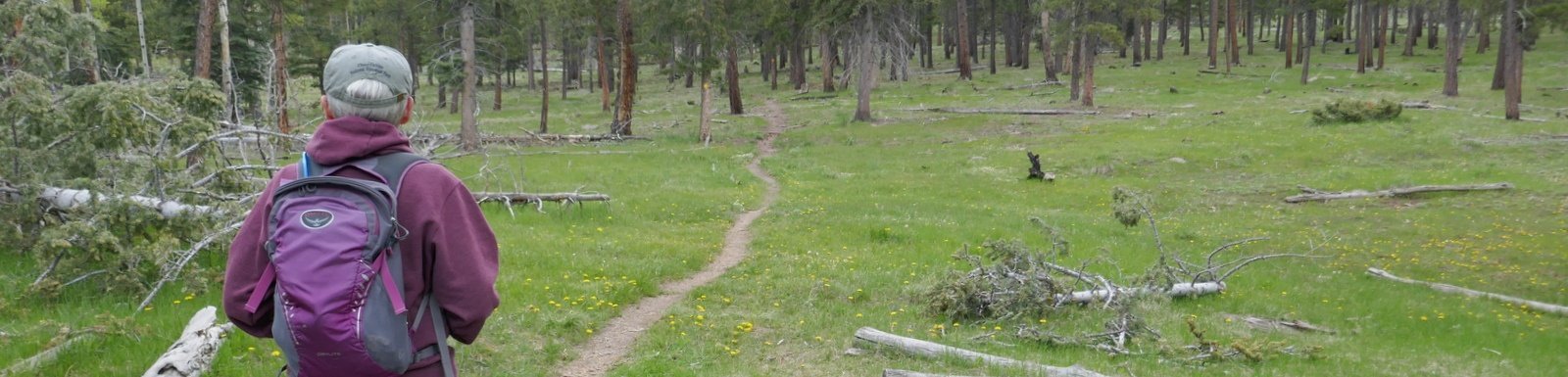 Cerro Grande Trail Hike – 05/29/2019 - Hiking in New Mexico