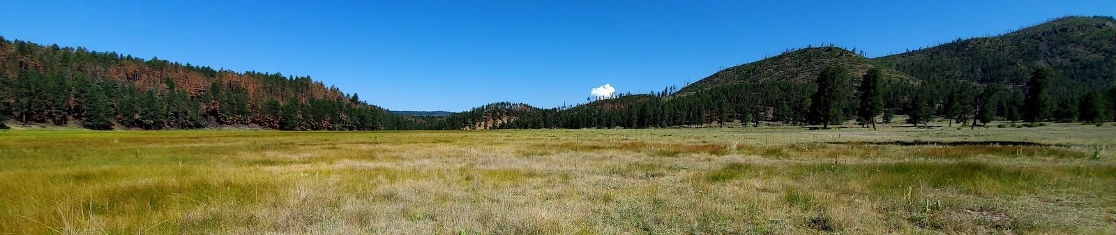 Redondo Meadow Hike