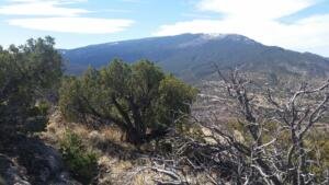 Sandia Mountain from Crest of Montezuma  