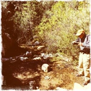 DelAgua-Piedra-Spring.2016.04.24      