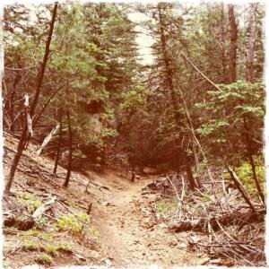 Eastside Trail 2        
