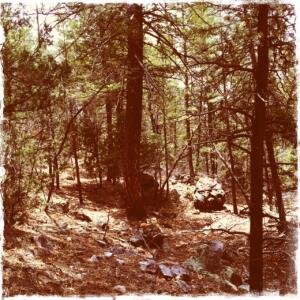 Eastside Trail 3        