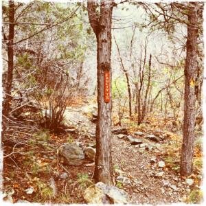 Palomas Peak Hike.Faulty Trail Sign.20160501 