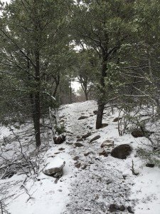 Palomas Peak Hike.Snowcoverd Trail2.20160501 
