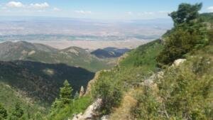 The View 2         