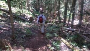 Wooded Trail          